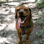 @colonelrichardmustard - Instagram