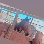 Richard Mustard - @nadunmituko - Instagram