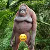 richard mcnally - @richard.mcnally7 - TikTok