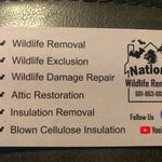 Richard Nations - @richardnations - Instagram