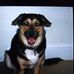 Richard Nead - Facebook