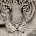 Richard Negrete - Facebook