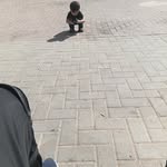 Richard Niringiye - @rniringiye - Instagram