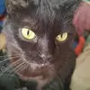 Richard Nolet - @richard.nolet - TikTok