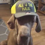 Richard Nolin - @all4thehaul - Instagram