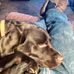 Richard Nolin - Facebook