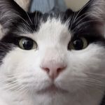 Richard Dale Northrop jr - @literallymadonline - Instagram