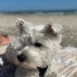 Richard Numbers - @richardnumbers2 - Instagram