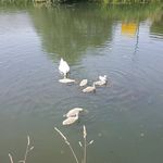 Richard Nunn - @richard.nunn.378 - Instagram
