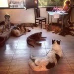 Richard Oatman - @tlnromancefeatured - Instagram