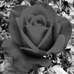 Richard Okey - @richardokey_ - Instagram