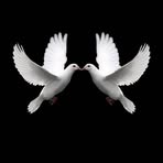 Richard Olson - Facebook