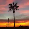 richardopsahl1 - @richardopsahl1 - TikTok