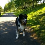 Richard Orrell - @richard.orrell2791 - Instagram