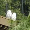 Richard Otten - @richard.otten10 - TikTok