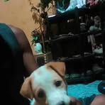 Richard Palen - Facebook