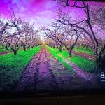 Richard Palfini - @palfinirichard - Instagram
