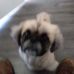 Richard Palk - Facebook