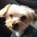 Richard Palm - Facebook