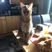 Richard Palmquist - Facebook