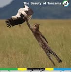 Richard Paluku Kinyumba - Facebook