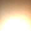 richardpampel - @rickyjofromscusa - TikTok