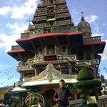 Richard Pane - @richard.pane - Instagram