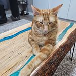Richard John Panetta - @rpanetta71 - Instagram