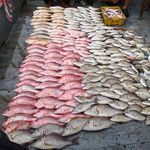 Richard Pang - @richard.pang5 - Instagram