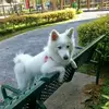 richardpang - @richardpang - TikTok
