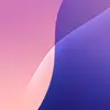 Richard Paňik - @richard.paik2 - TikTok