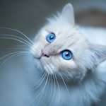 Richard Papaskua - @richard.papaskua - Instagram