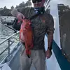 richardpapp545 - @richardpapp545 - TikTok