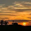Richard Pardee - @richard.pardee - TikTok
