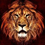 Richard Parham - @parham_productions - Instagram