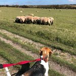 Richard Parkman - @parkman6801 - Instagram