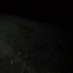 Richard Paschal - @richard.paschal.1238 - Instagram