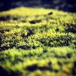 Richard Patterson - @richard__patterson - Instagram