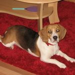Richard Vaith-Pfeffer - @vaithpfeffer - Instagram