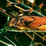 @richard_philbin - Instagram