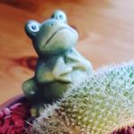 @richard.picha - Instagram