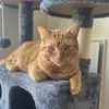 Mr. Richard Pickles - @mr.richardpickles - TikTok