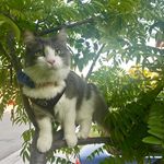 Richard And Lilac Pickles - @mr_and_mrs.pickles - Instagram