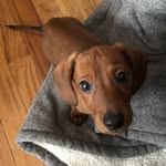 Richard Pickles - @bigrichardpickles - Instagram