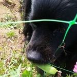 Richard Pickles - @richardpickles090909 - Instagram