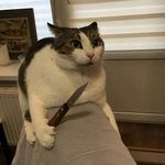 Richard William Pingree - @itsurboirichard - Instagram