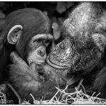 Richard platts - @rwp_imaging_photography - Instagram