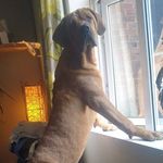 Richard Plumb - @richard.plumb.739 - Instagram