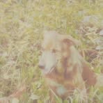 Richard Polanco - Facebook