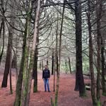 Richard Poli - @polirichard12 - Instagram